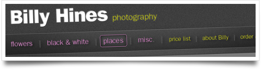Website Design for Billy Hines Photograpy - Fairhope Alabama