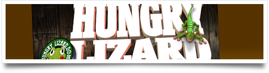 hungry-lizard_web
