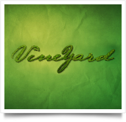 Logo Design for VineYard